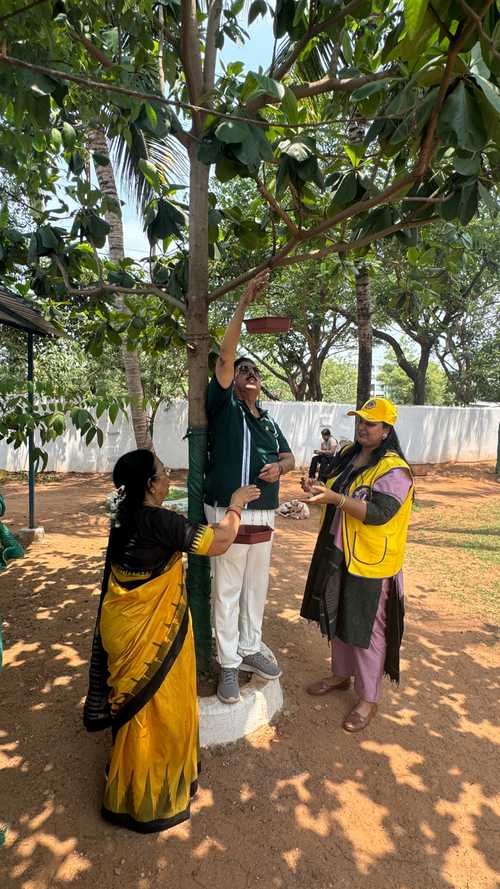 Hanging Pot wit water in tree for bird drink during peak summer by LCB Lotus
